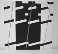 2001 Novembre Variations vide perturbateur - CONTRAINTES ET VARIATIONS 2000-2003